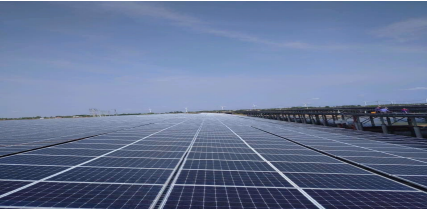 Dự án Điện mặt trời 2MW: Khu nuôi tôm Công nghệ cao - Bạc Liêu